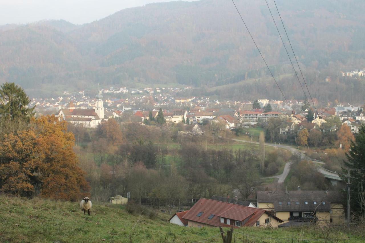 Wehr Orchidee Apartment Kültér fotó